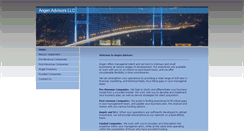 Desktop Screenshot of angenadvisors.com